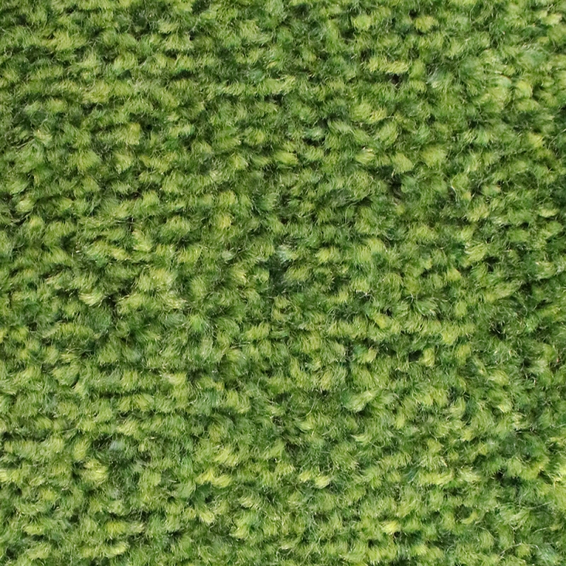 C16