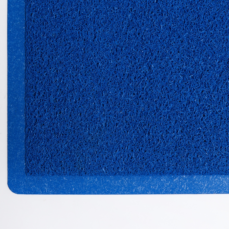 Guardian Entrance Mat in Blue