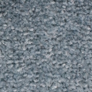C08