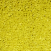 C13