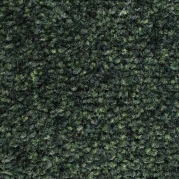 C15