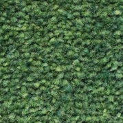 C19