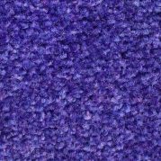 C31