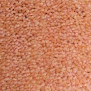 C54