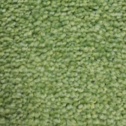 C56